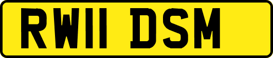 RW11DSM