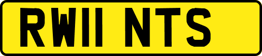 RW11NTS