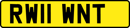 RW11WNT