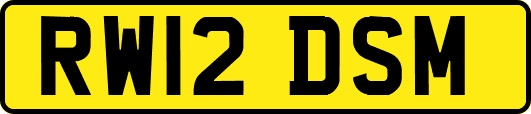 RW12DSM
