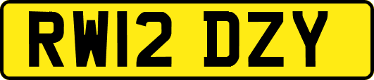 RW12DZY