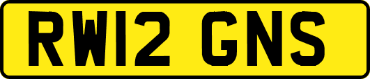 RW12GNS