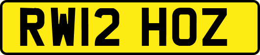 RW12HOZ