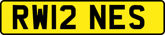 RW12NES