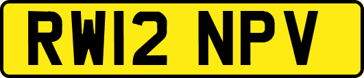RW12NPV