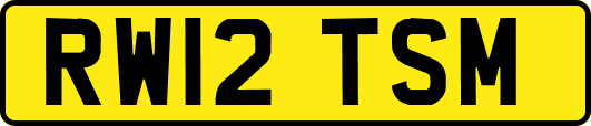 RW12TSM