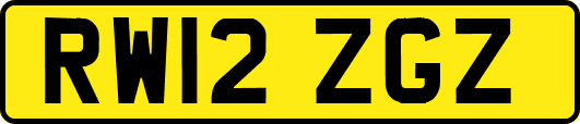 RW12ZGZ