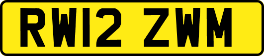 RW12ZWM