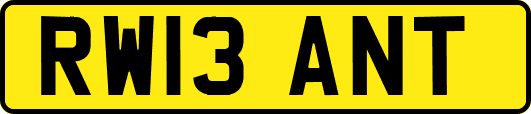 RW13ANT