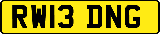 RW13DNG