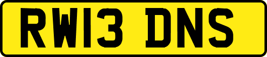 RW13DNS