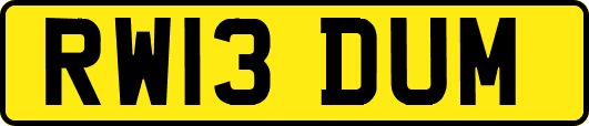 RW13DUM