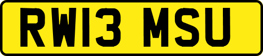 RW13MSU