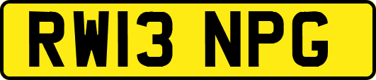RW13NPG