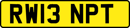 RW13NPT