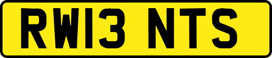 RW13NTS