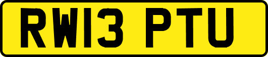 RW13PTU