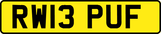 RW13PUF