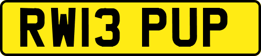 RW13PUP