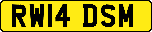 RW14DSM