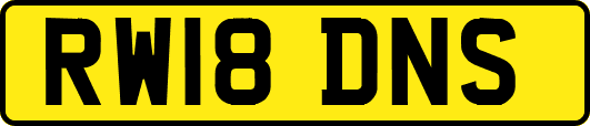 RW18DNS