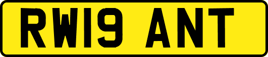 RW19ANT