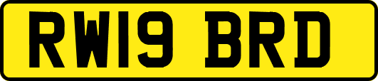 RW19BRD