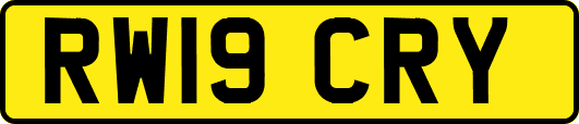 RW19CRY