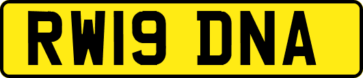 RW19DNA