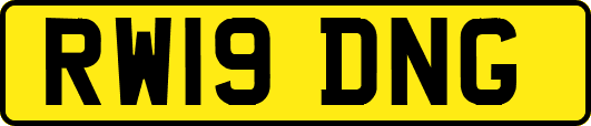 RW19DNG
