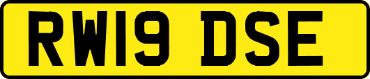RW19DSE
