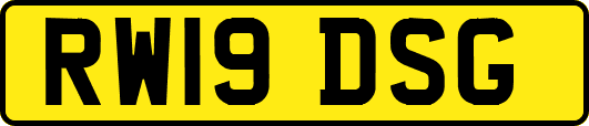 RW19DSG