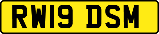 RW19DSM