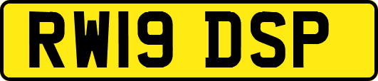 RW19DSP