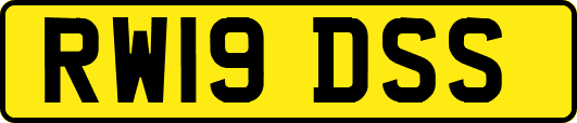 RW19DSS