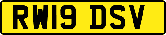 RW19DSV