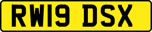 RW19DSX