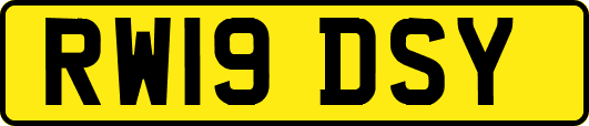 RW19DSY