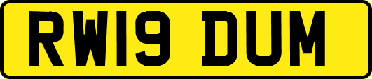 RW19DUM