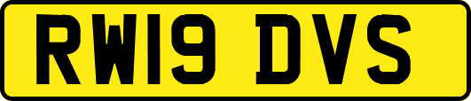 RW19DVS
