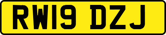 RW19DZJ