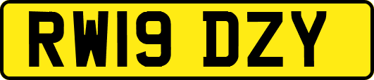 RW19DZY