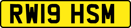 RW19HSM