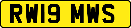 RW19MWS