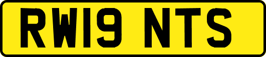 RW19NTS
