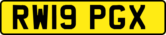 RW19PGX