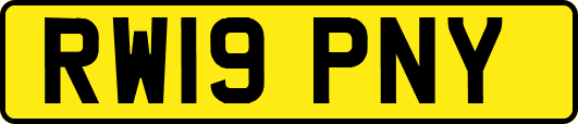 RW19PNY