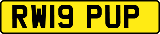 RW19PUP