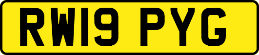 RW19PYG