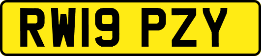 RW19PZY